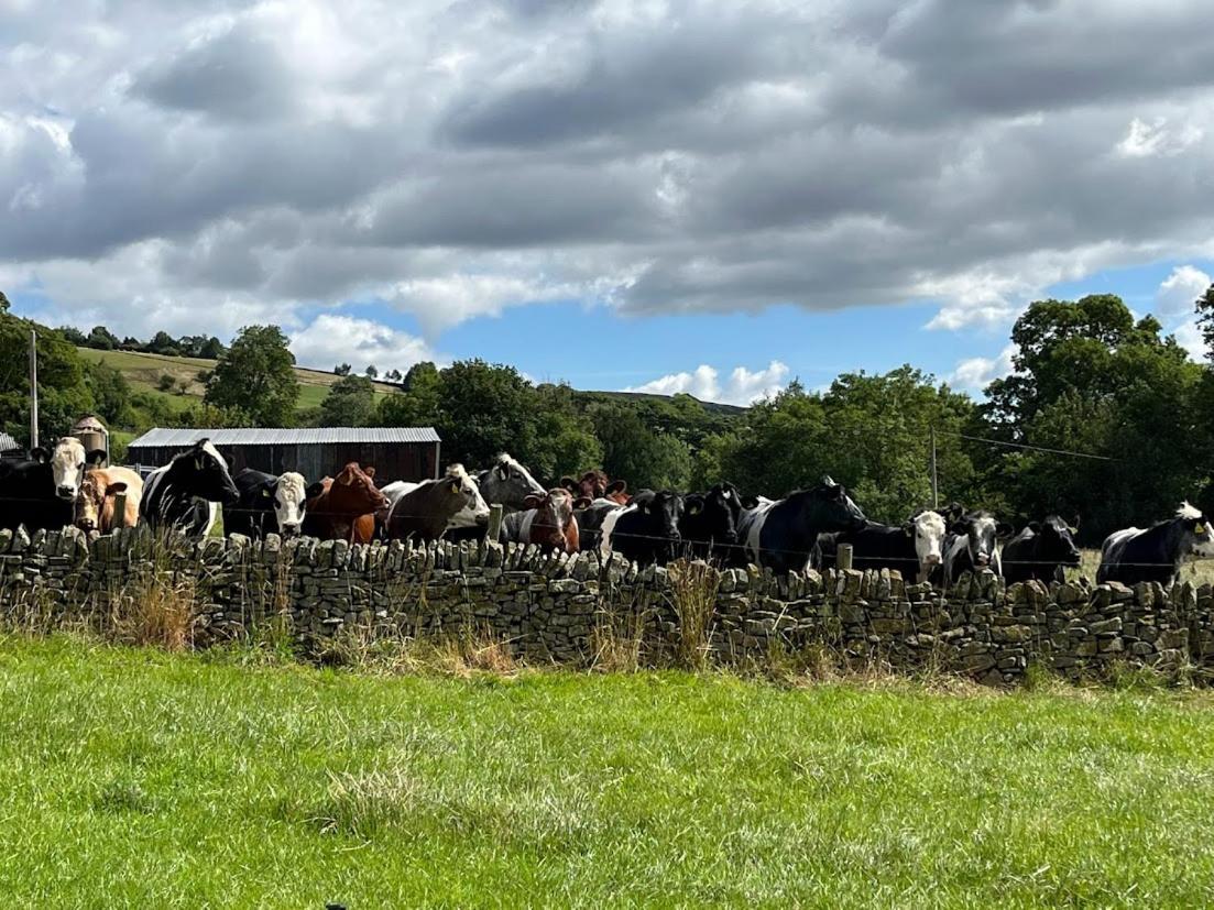 Riding House Farm Cottages Castleton Kültér fotó